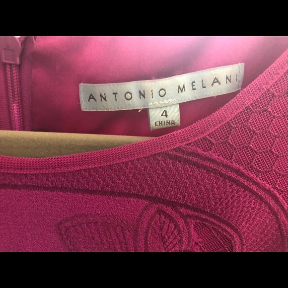 Antonio Melani Dress - Picture 2 of 2